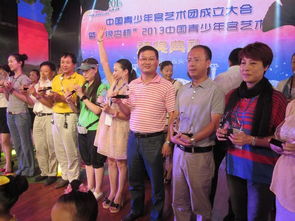 芜湖市少年宫在“银杏杯”2013中国青少年宫文化艺术节上喜获佳绩，展青春风采，促交流融合
